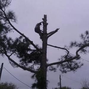 Meet your Posher, Adan